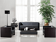 Traditional Leather Sofa CG-CTZPSF-06