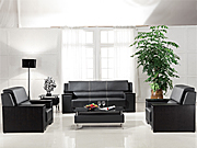 Traditional Leather Sofa CG-CTZPSF-07