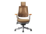 Mesh Executive Chair